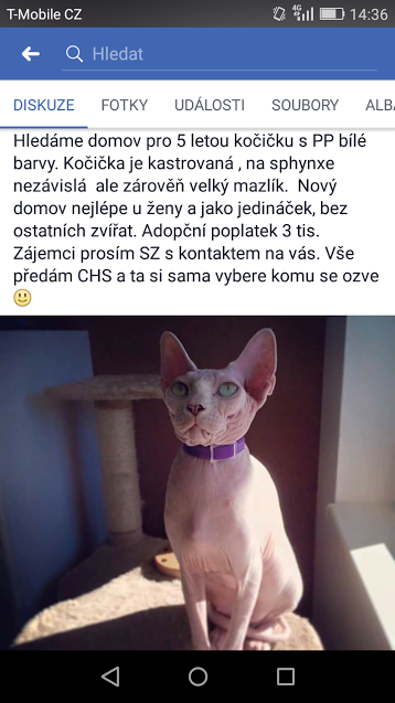 I takhle může vypadat začátek velké lásky. ☺